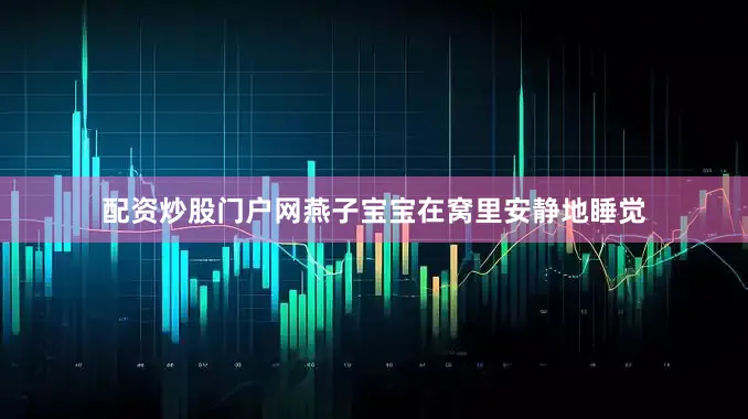 配资炒股门户网燕子宝宝在窝里安静地睡觉