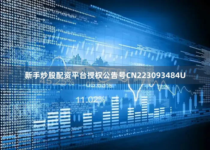 新手炒股配资平台授权公告号CN223093484U